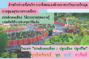 การทำผักสวนคนเมือง
